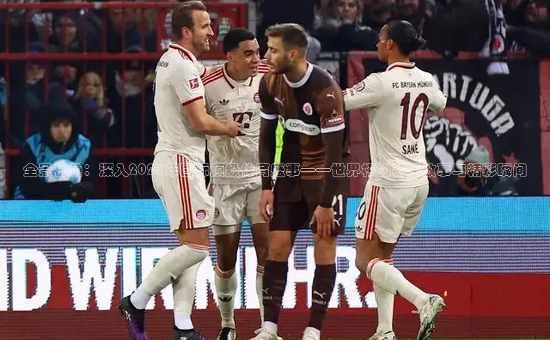 全景视角：深入2023年国际顶级体育盛事——世界杯的幕后故事与精彩瞬间