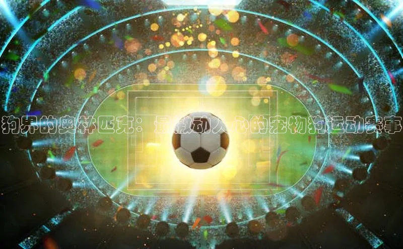 意昂4代理