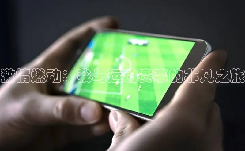 激情燃动：我与运动赛事的非凡之旅